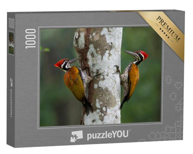 Puzzel 1000 stukjes „Grote bonte specht op zoek naar voedsel“