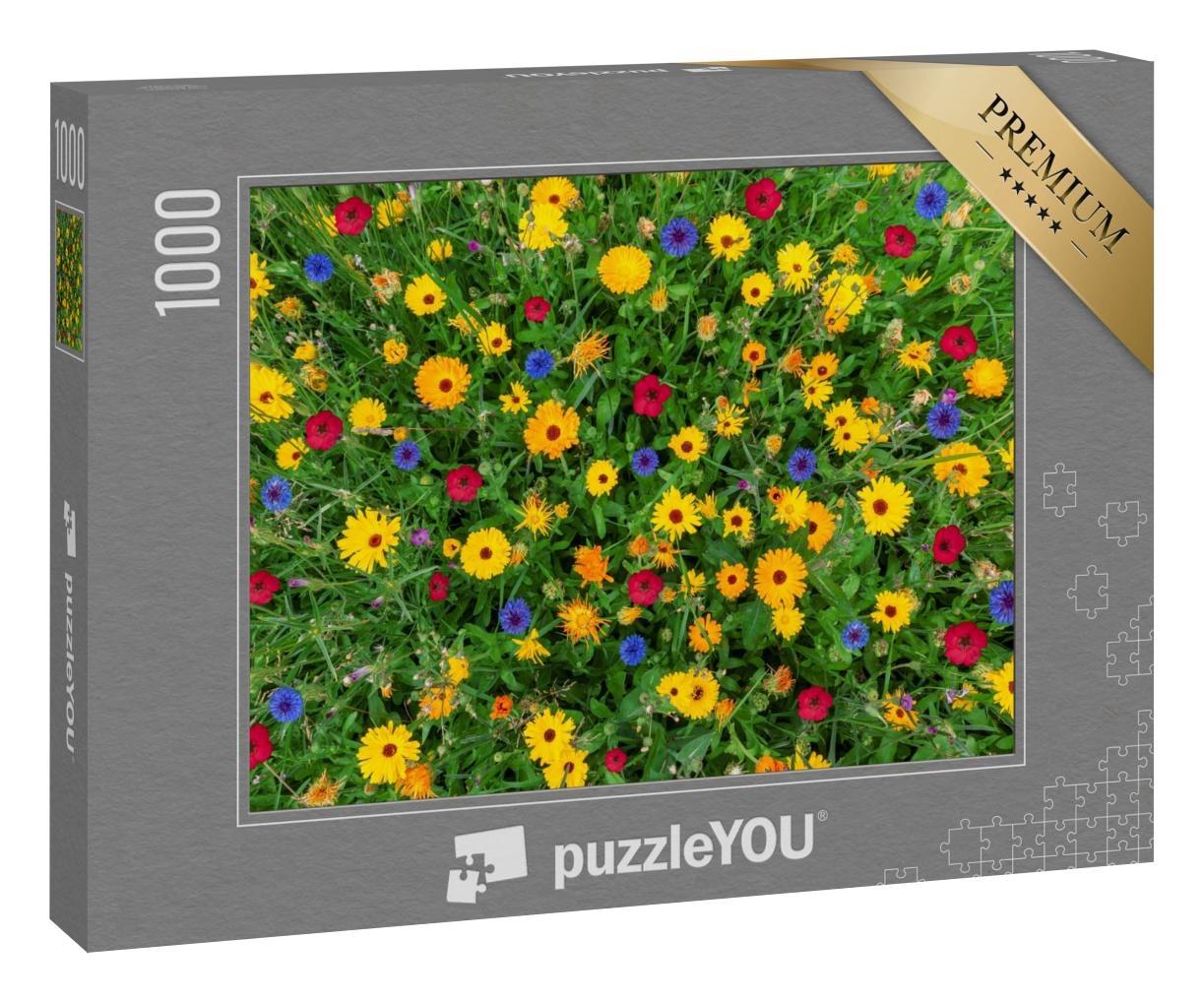 Puzzle 1000 Teile „Großaufnahme: Bunte Blumenwiese zur Sommerzeit“