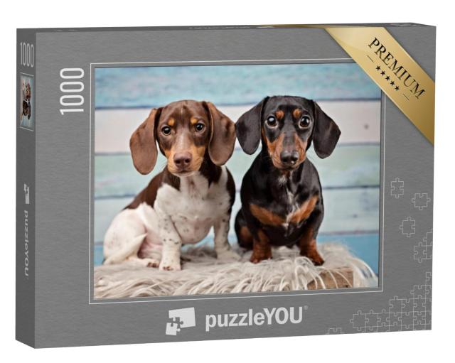 Puzzel 1000 stukjes „Portret van twee teckels“