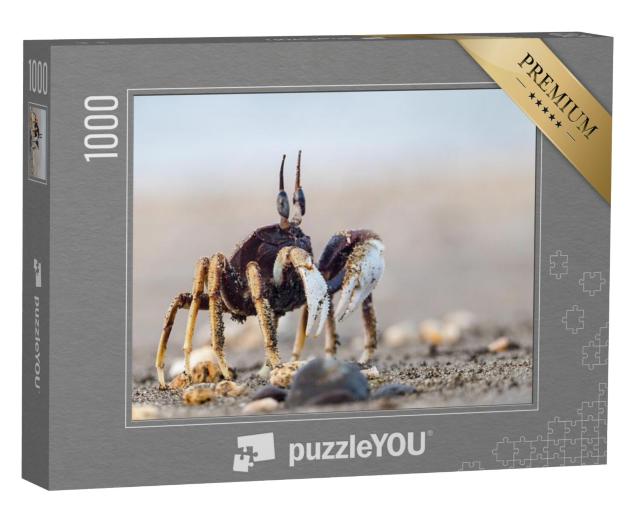 Puzzel 1000 stukjes „Nieuwsgierige krab op het zandstrand“