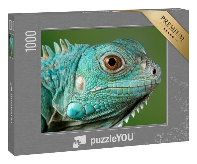 Puzzle 1000 Teile „Blauer Leguan: Nahaufnahme vom Kopf“