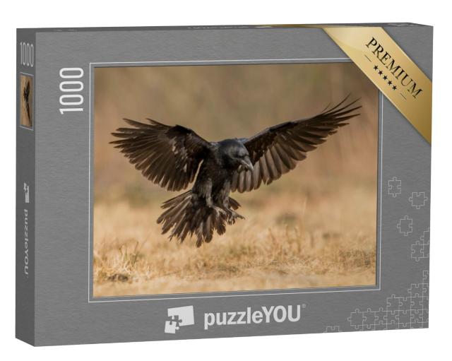 Puzzel 1000 stukjes „Raven in aantocht“