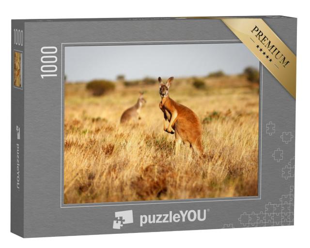 Puzzel 1000 stukjes „Rode kangoeroe in de graslanden van de Australische outback“