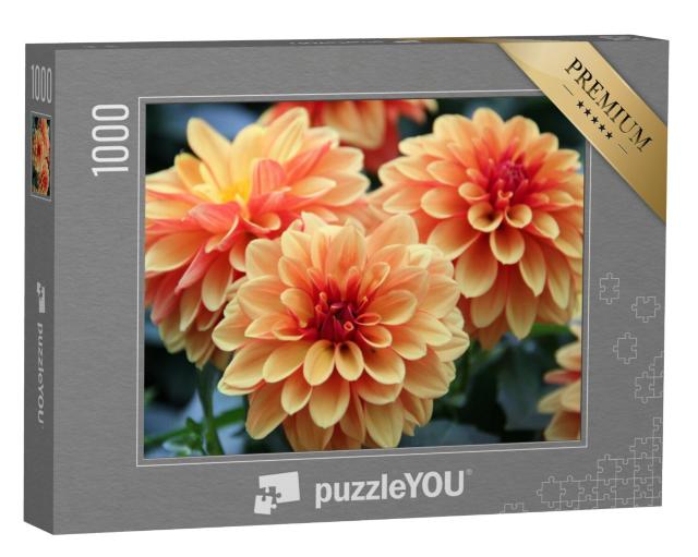 Puzzel 1000 stukjes „Kleurrijke dahliabloesems“