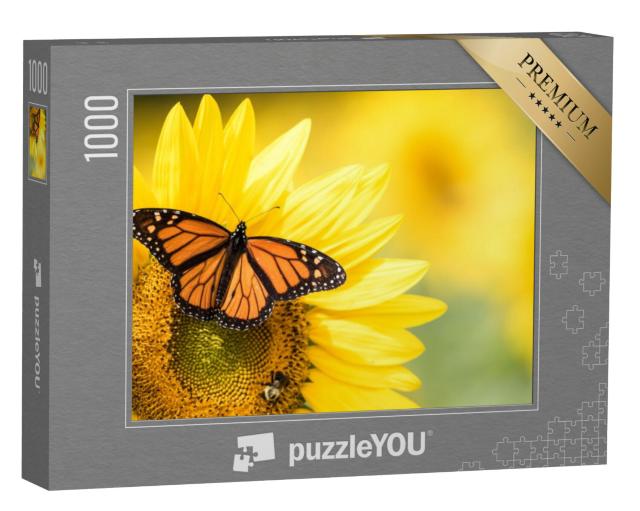 Puzzel 1000 stukjes „Monarchvlinder, Danaus Plexippus, op een zonnebloem“