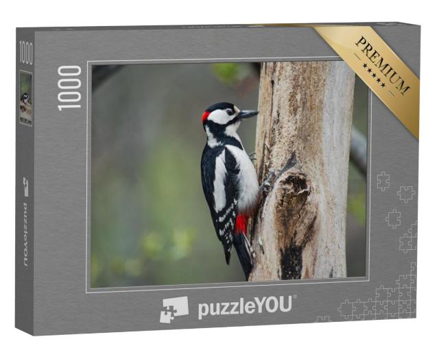 Puzzel 1000 stukjes „Specht klopt op een boom“