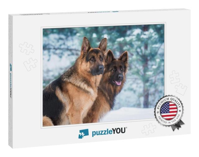 Portrait of Two German Shepherd Dogs in Winter... Jigsaw Puzzle