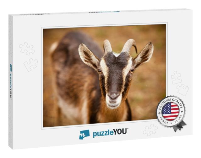 Goat. Portrait of a Goat on a Farm in the Village. Beauti... Jigsaw Puzzle