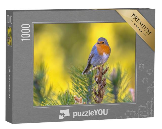 Puzzel 1000 stukjes „Roodborstje op een groene tak“