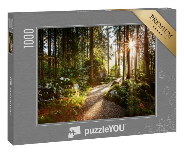 Puzzle 1000 Teile „Magische Landschaft und Weg durch den Wald in der Morgensonne“