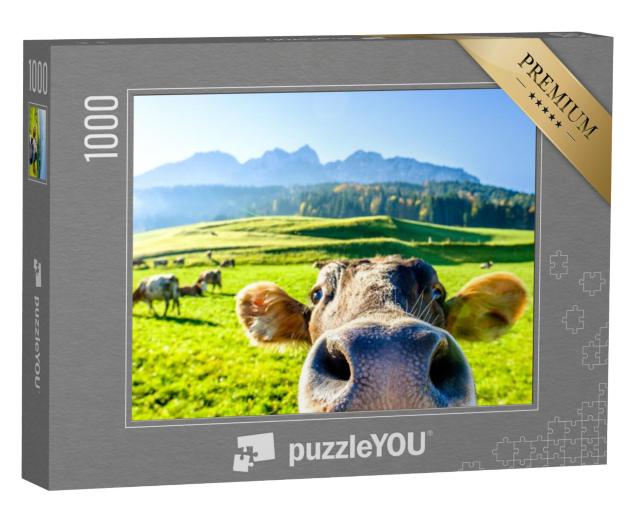 Puzzel 1000 stukjes „Nieuwsgierige koe“