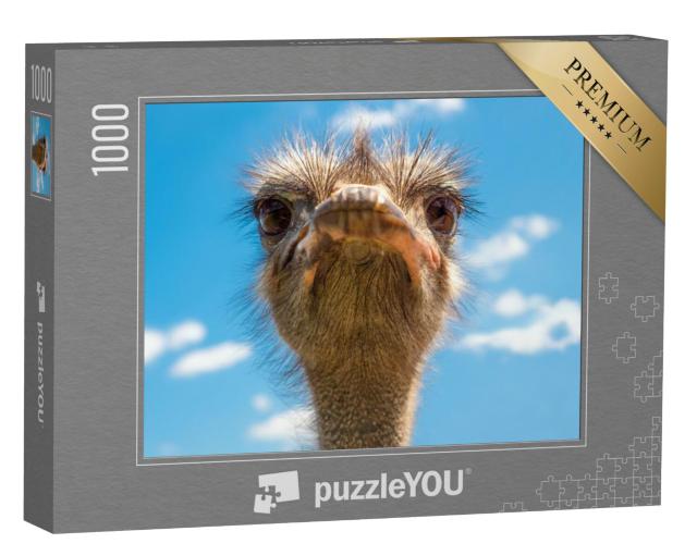 Puzzel 1000 stukjes „Portret van struisvogelkop, Afrikaanse struisvogel“