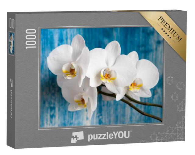 Puzzel 1000 stukjes „Witte orchidee“