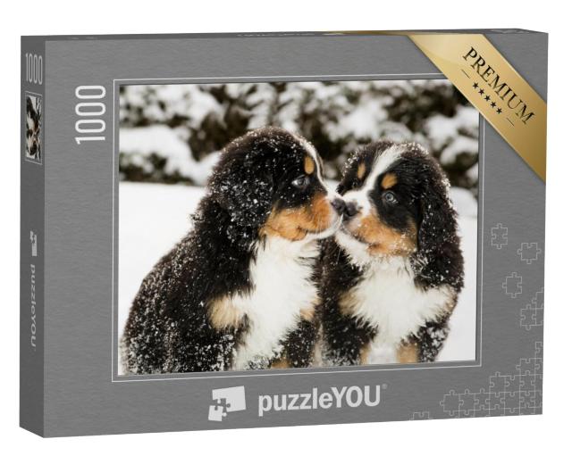 Puzzel 1000 stukjes „Berner Sennenhond puppy's bestrooid met sneeuw“