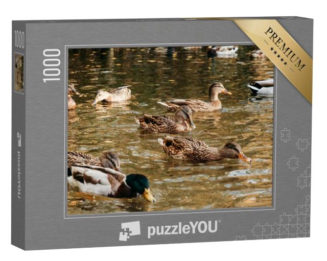 Puzzel 1000 stukjes „Een grote troep eenden eet brood op het meer“