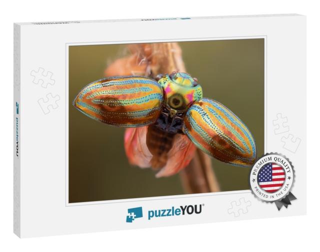 Close Up of a Rosemary Beetle with Wide Open Hard Wings... Jigsaw Puzzle