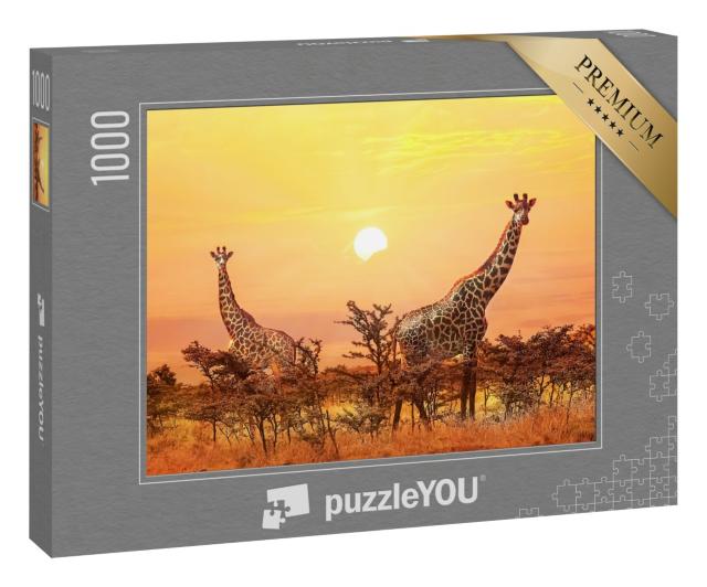 Puzzle 1000 Teile „Majestätische Giraffen im Sonnenuntergang“