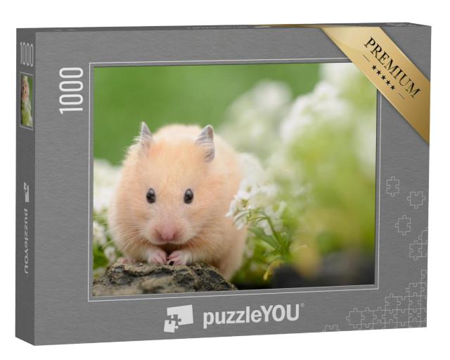 Puzzel 1000 stukjes „Goudhamster“