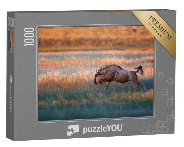 Puzzel 1000 stukjes „Blauwe gnoe springend“