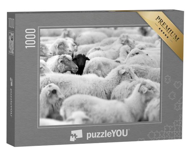 Puzzel 1000 stukjes „Een zwart schaap in de kudde blanken“