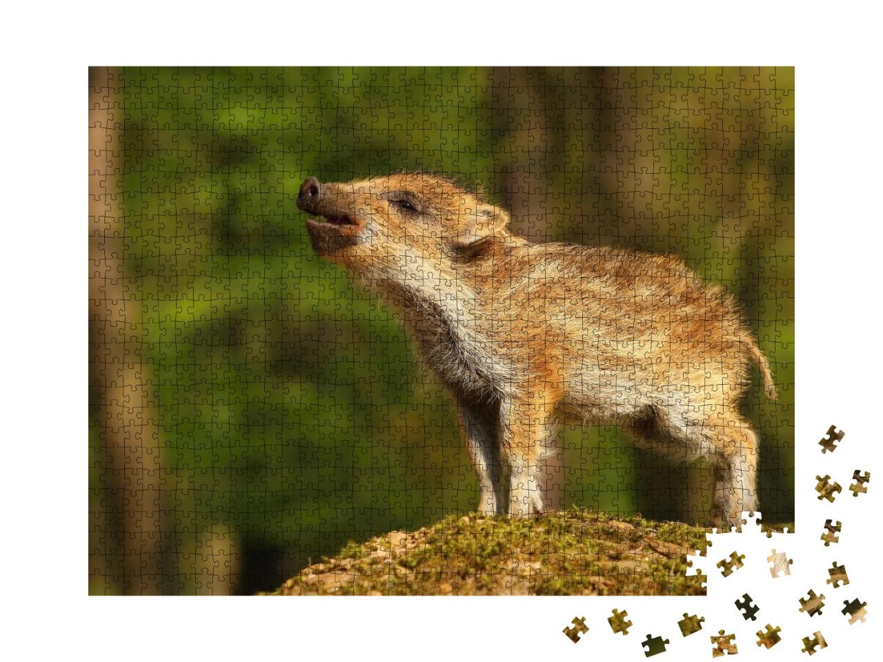 Puzzle 1000 Teile „Süßes gestreiftes Wildschweinbaby im Wald, Frischling“