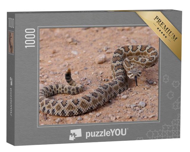 Puzzel 1000 stukjes „Gevaarlijke ratelslang, opgerold en klaar om aan te vallen“