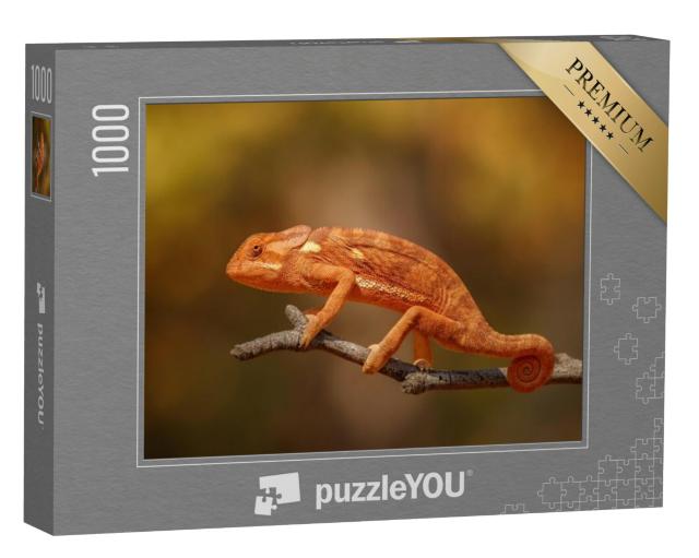 Puzzel 1000 stukjes „Wilde kameleon in Afrika“