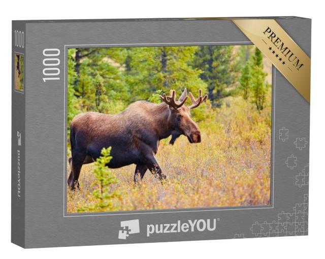 Puzzel 1000 stukjes „Eland, Denali National Park, Alaska, VS“