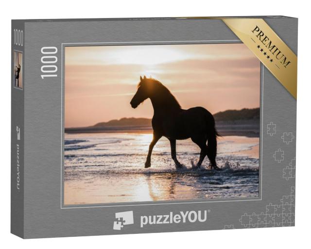 Puzzel 1000 stukjes „Zwart paard draaft vrij over het strand tegen het avondlicht“