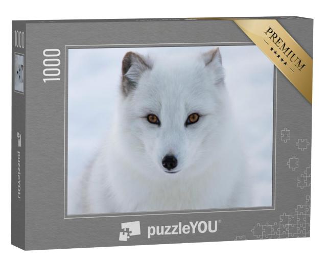 Puzzel 1000 stukjes „Portret van een poolvos“