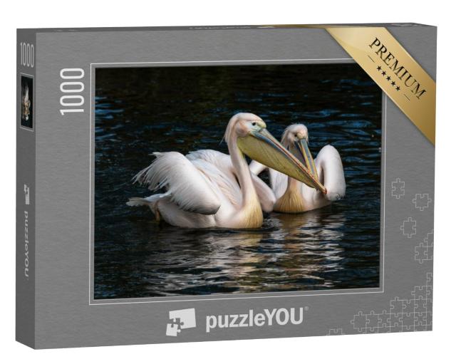 Puzzel 1000 stukjes „De witte pelikaan, ook bekend als de roze pelikaan“