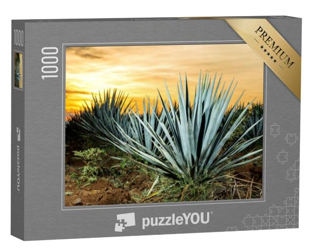 Puzzel 1000 stukjes „Tequilaplantage, Guadalajara, Mexico“