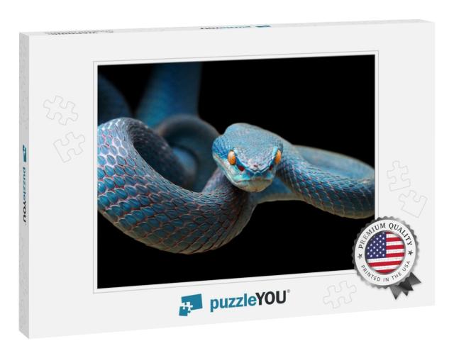 Blue Viper Snake on Branch Ready to Attack Prey, Viper Sn... Jigsaw Puzzle