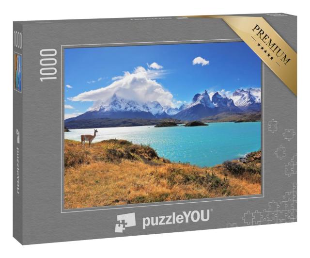 Puzzle 1000 Teile „Wunderschöner Nationalpark Torres del Paine im Süden Chiles“