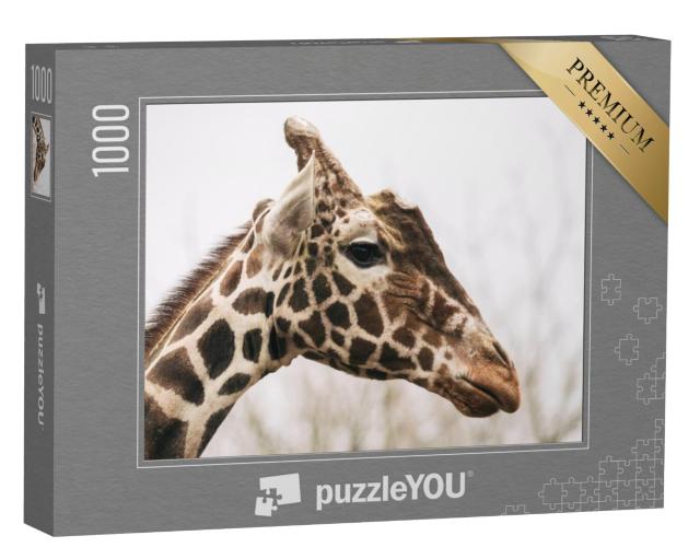 Puzzel 1000 stukjes „Gestreepte giraf, ook bekend als Masai-giraf“