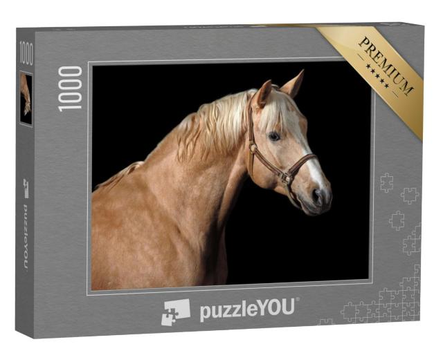 Puzzel 1000 stukjes „Palomino paard“