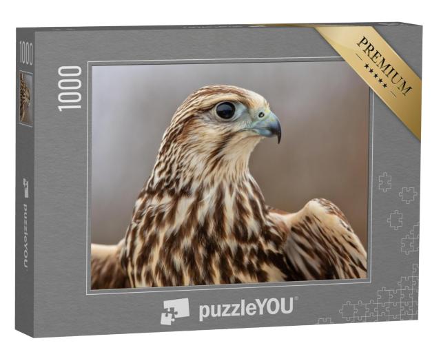 Puzzel 1000 stukjes „Majestueuze saker valk“