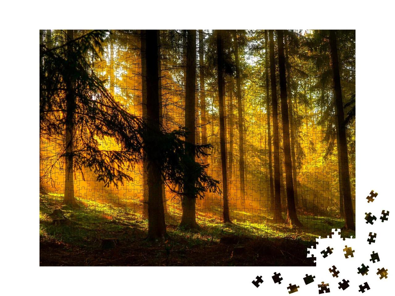 Puzzle 1000 Teile „Waldszene: Sonnenuntergang, Sonnenstrahlen in der tiefen Wildnis“