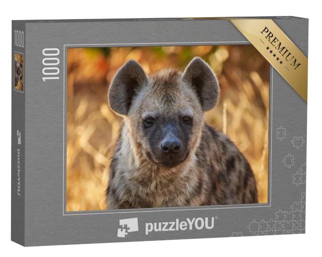 Puzzel 1000 stukjes „Jonge hyena in het avondlicht“