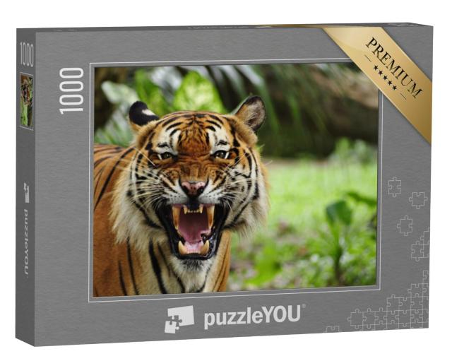 Puzzel 1000 stukjes „Verbleekte tanden van een tijger“