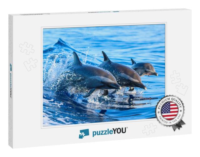 A Spotted Dolphin Family Leaping Out of the Clear Blue Ha... Jigsaw Puzzle