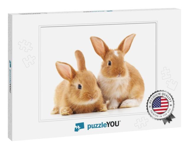 Two Small Rabbits Isolated on a White Background... Jigsaw Puzzle