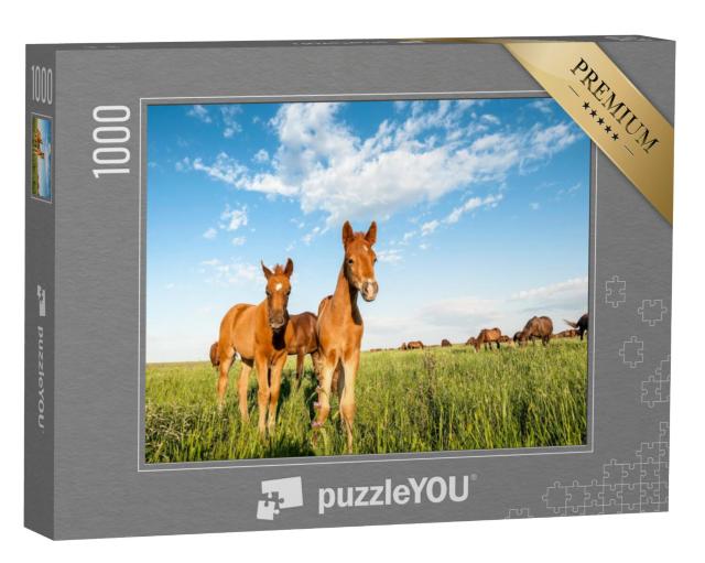 Puzzel 1000 stukjes „Nieuwsgierige veulens op de weide van het Rostov Staatsreservaat“