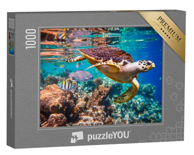 Puzzel 1000 stukjes „Karetschildpad in het koraalrif“