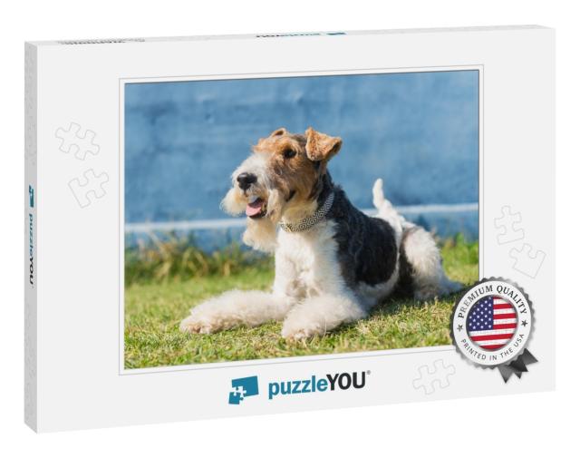 Fox Terrier Dog... Jigsaw Puzzle