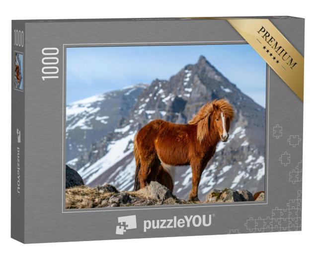 Puzzel 1000 stukjes „IJslands paard“