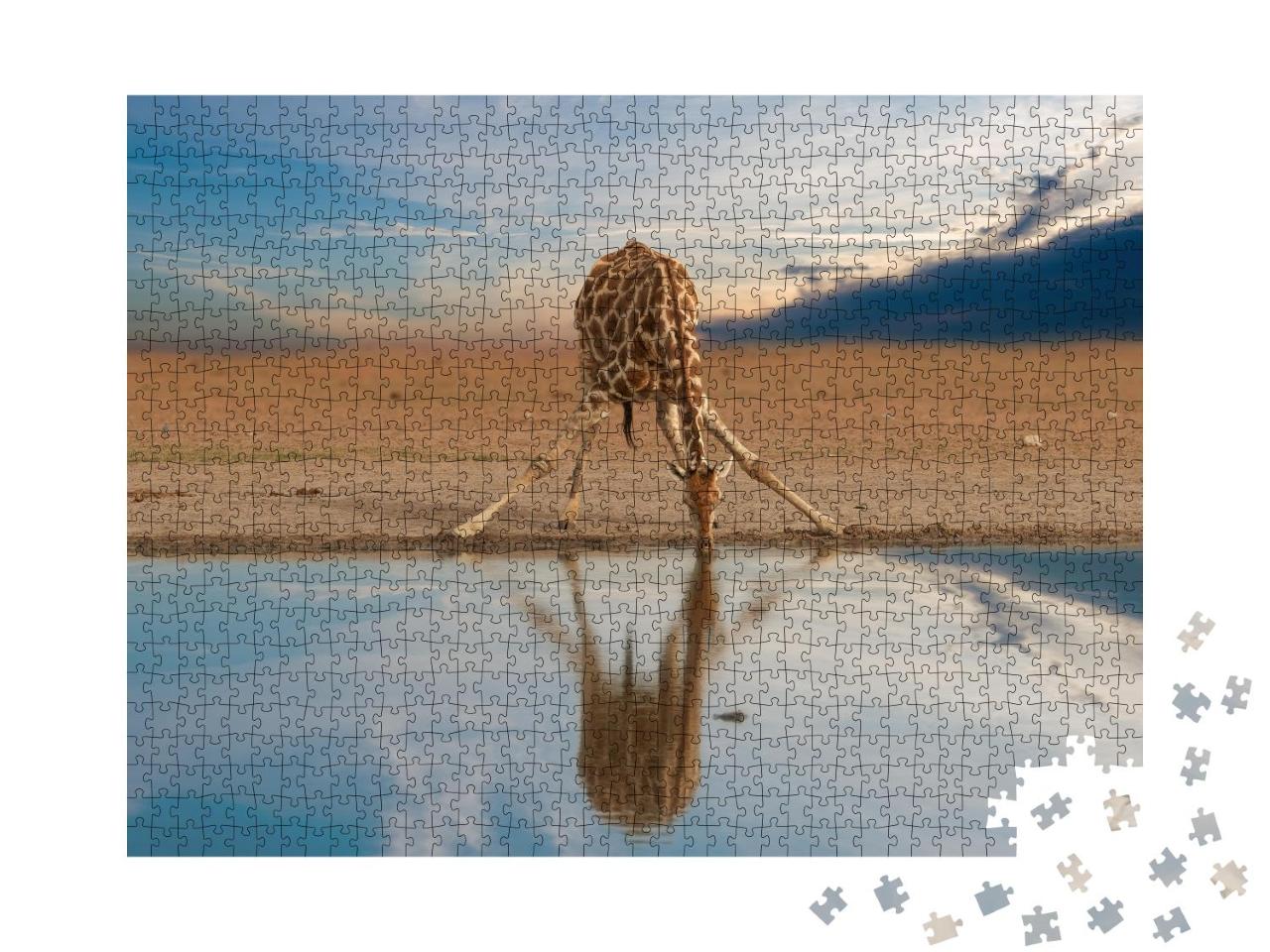 Puzzle 1000 Teile „Trinkende Giraffe am Wasserloch, Etosha-Pfanne, Namibia“