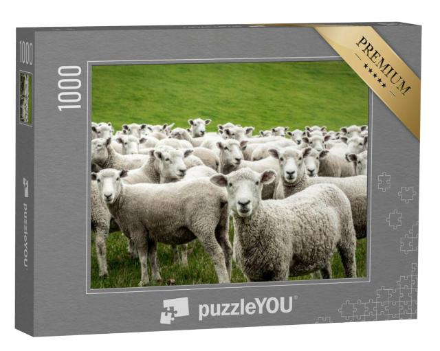 Puzzel 1000 stukjes „Kudde schapen“