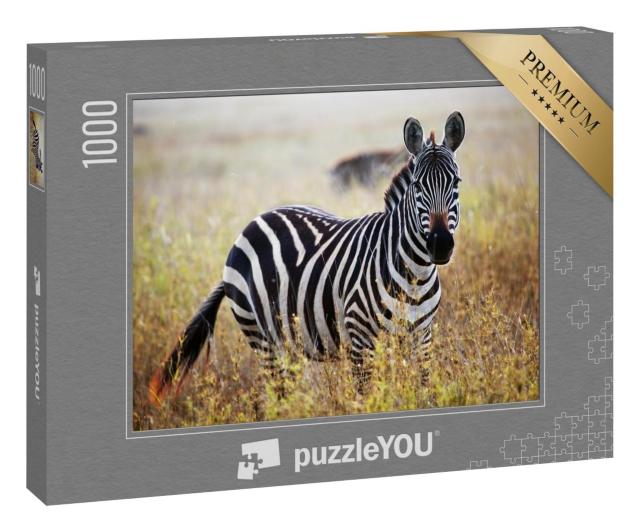Puzzle 1000 Teile „Zebra-Porträt aus der afrikanischen Savanne, Serengeti, Tansania“