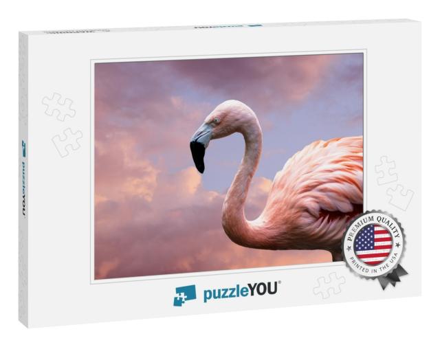 American Flamingo. the American Flamingo Phoenicopterus R... Jigsaw Puzzle